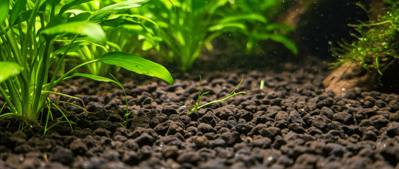 Sustrato acuario