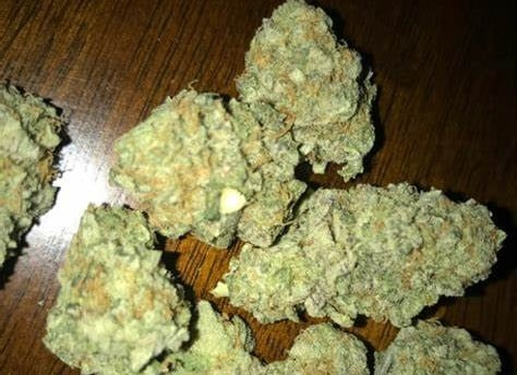 amnesia haze strain