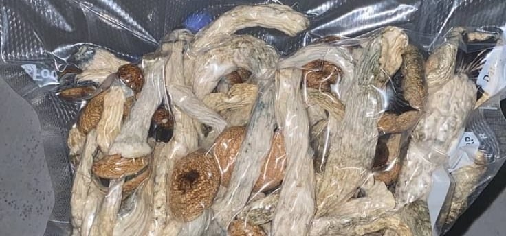 Psilocybin Mushroom Shops in Perth WA