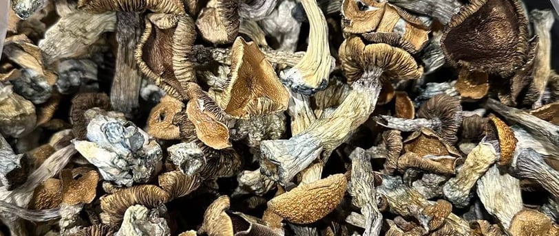 where we can Buy Magic Mushrooms Online in Australia