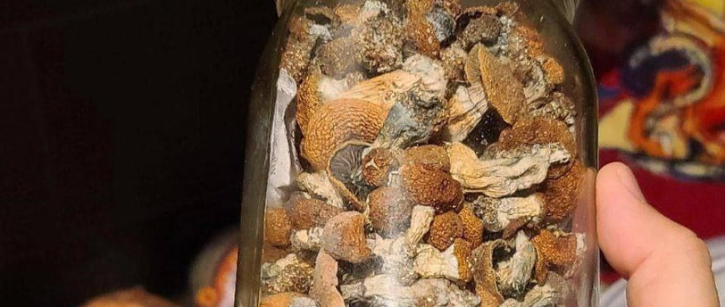 Buying Magic Mushrooms in Australia: The Best Sites Revealed!