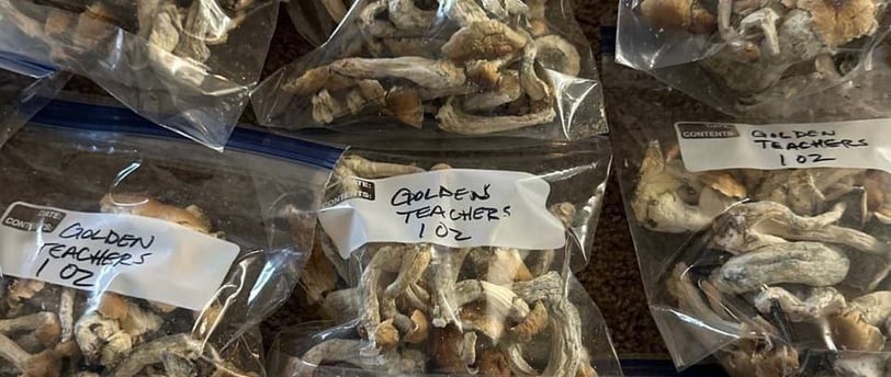 Magic Mushrooms Shop: A Trustpilot Review