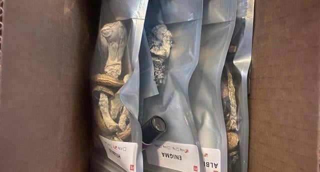 where in perth can i buy magic mushrooms in perth
