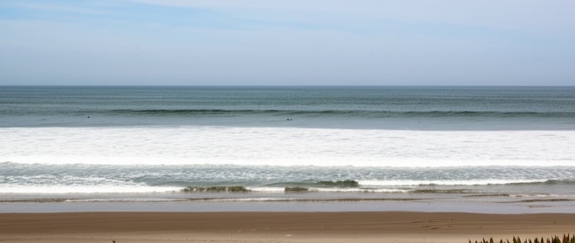 Coastal Humidity & Mold Prevention