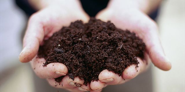 a person holding a handful of dirt in their hands