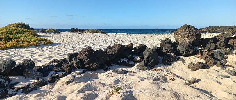 the best beaches in lanzarote, canary islands