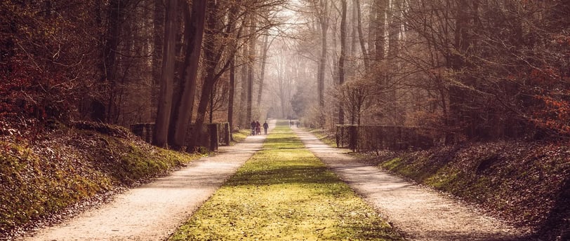 randonnées et vtt