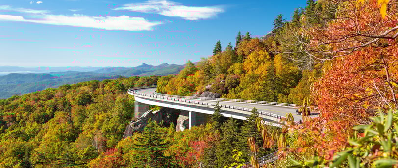 The leaves turning colors at Linn Cove Viaduct, Grandfather Mountain, North Carolina, USA