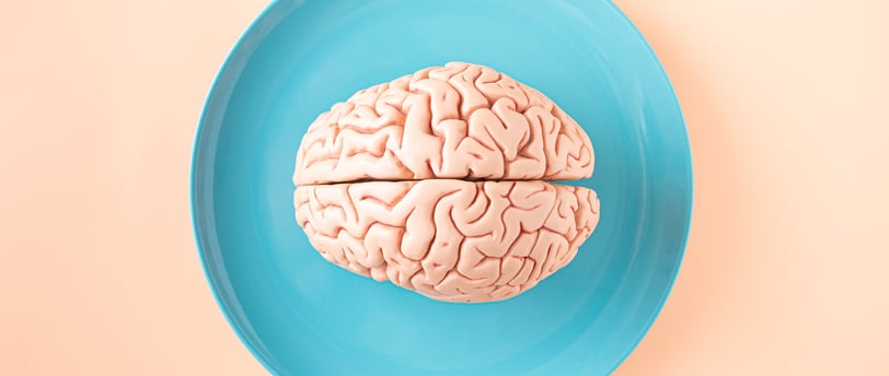 brain