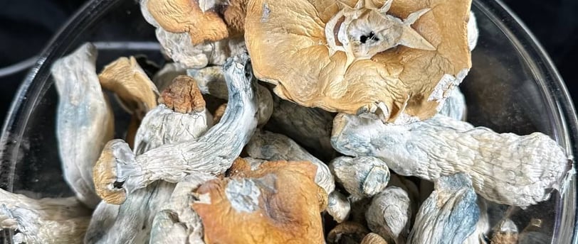 Where Can I Buy Magic Mushrooms Online in the UK