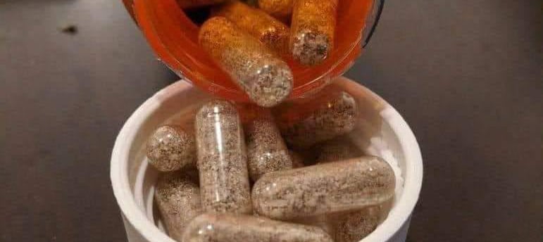 microdosing pages in united kingdom on telegram