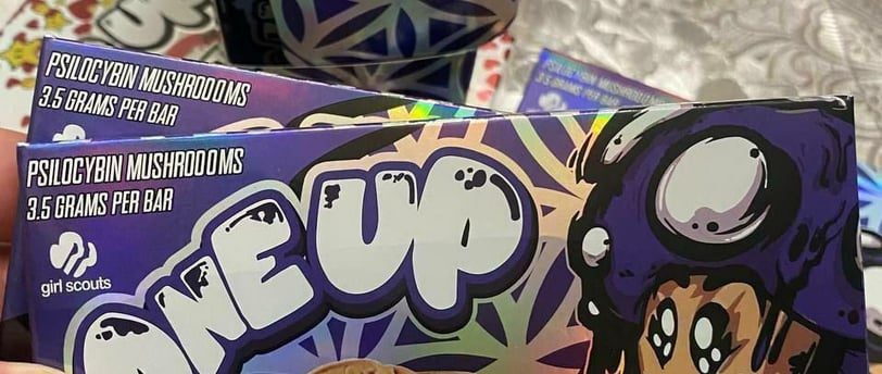 Understanding Magic Mushroom Chocolate vs. Raw Mushrooms