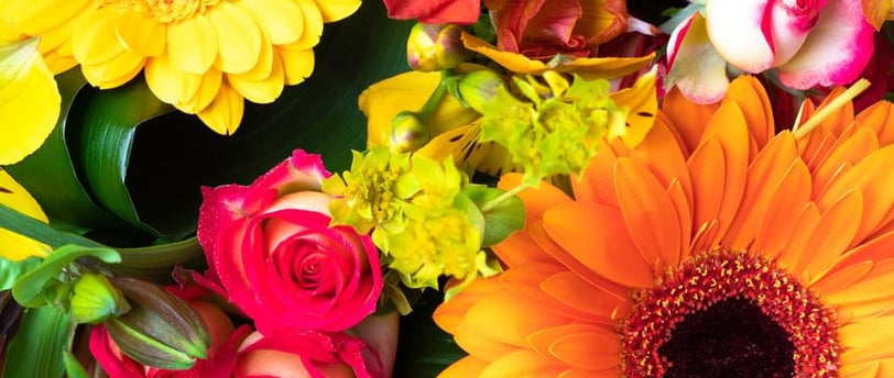 Flores