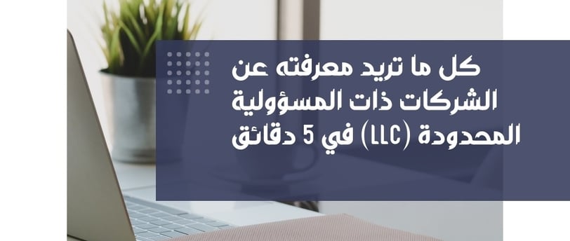 L.L.C in Egypt
