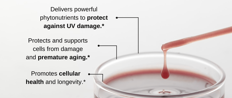 a picture of liquid resveratrol