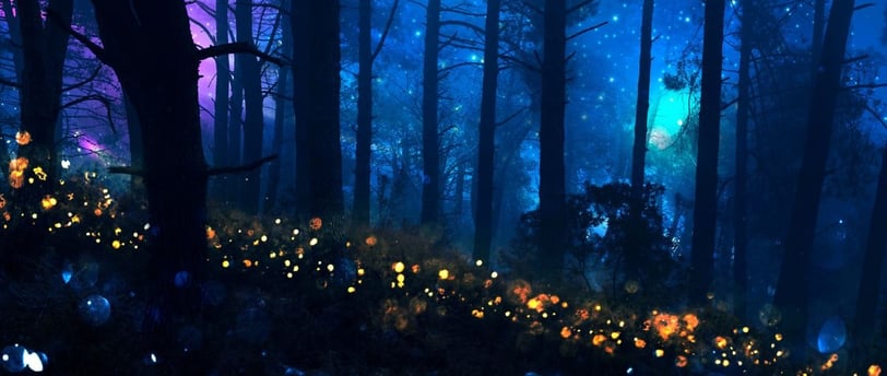 Floresta noturna com pontos luminosos