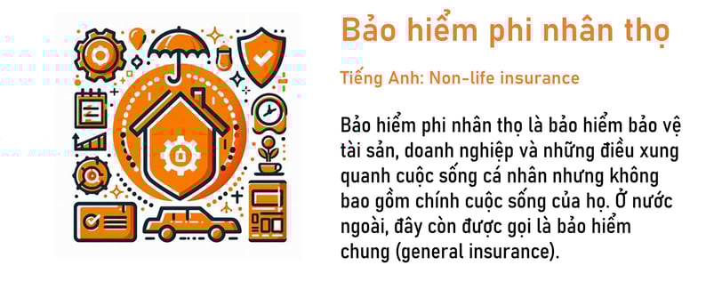 Bảo hiểm phi nhân thọ là gì? Định nghĩa bảo hiểm phi nhân thọ