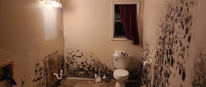 Mold Dangers After Water Damage