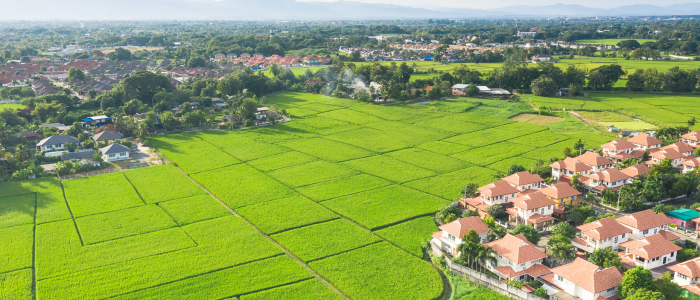 Imagem de uma parte da cidade mostrando um loteamento sem construções