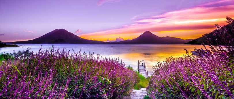 Photo by <a href="https://unsplash.com/@luckybeanz?utm_content=creditCopyText&utm_medium=referral&utm_source=unsplash">Mark H