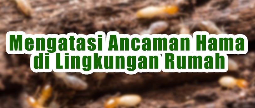 Rayap dan Hama