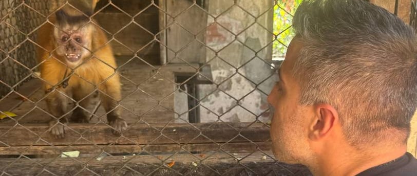 a man in a black shirt is looking at a monkey