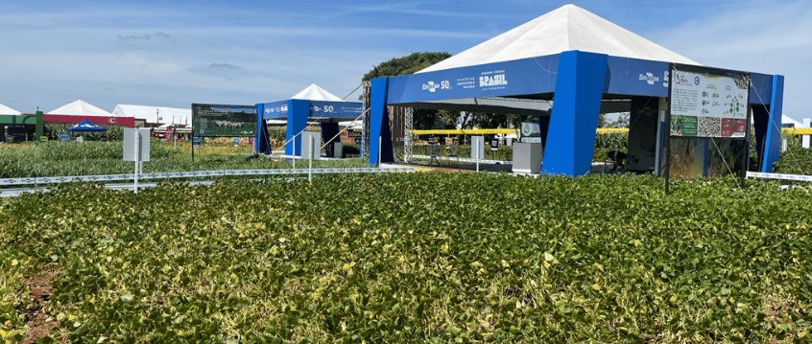 Embrapa Technology