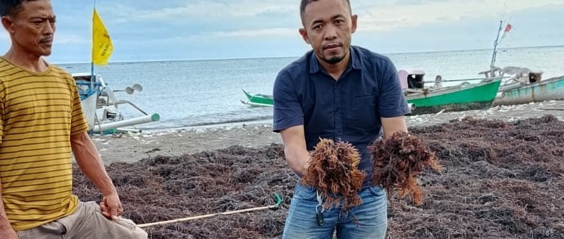 Eucheuma Cottonii Carrageenan