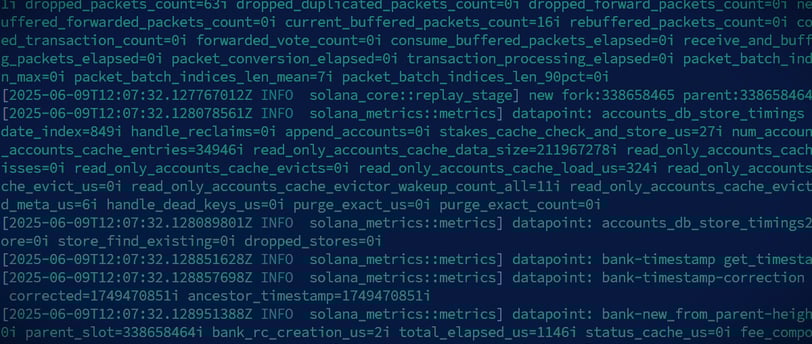 solana validator logs output