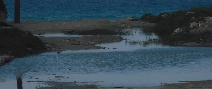 a beach with a boat in the water