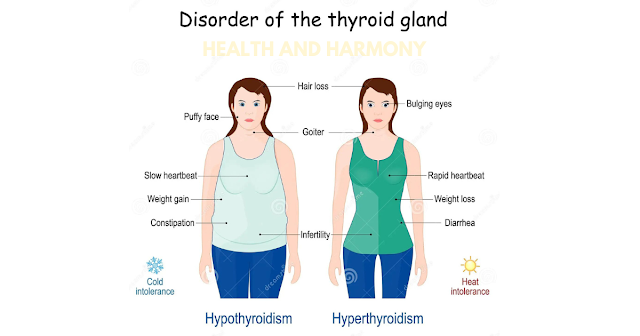 Unveiling the Common Symptoms of Thyroid Disorders