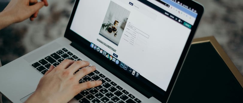 Local website development