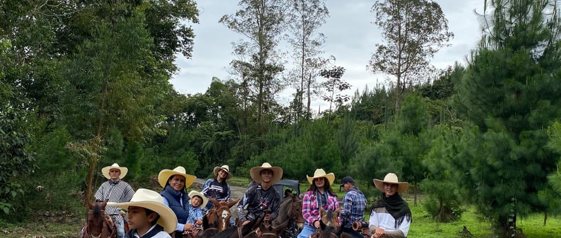 horses