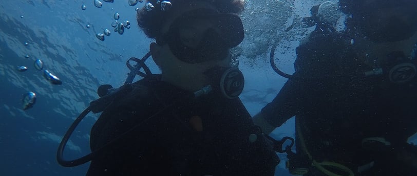  Diver exploring coral reef at Menjangan Island with Sunrise Dive Bali