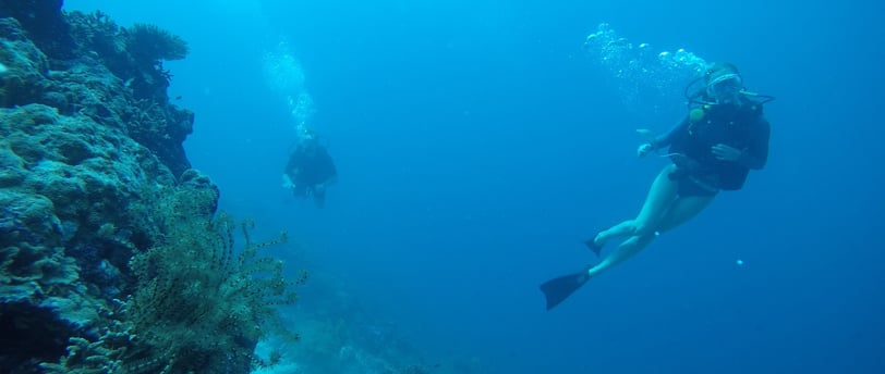 night dive Lovina reef #AdvancedArabicDive #SunriseBali