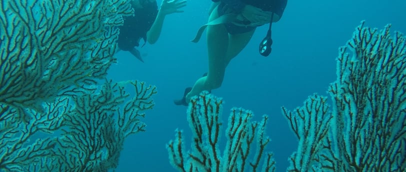 man underwater looking at religious statue in bali