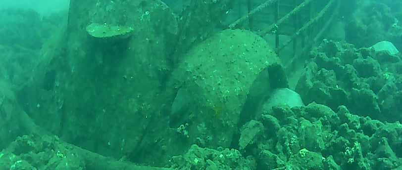 Diver posing beside coral-covered VW Beetle in Lovina Reef underwater museum