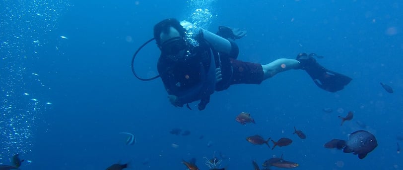 Diver exploring glowing coral at night in Lovina Reef – Sunrise Dive Bali