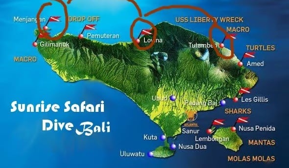 Dive guide with group exploring coral reef in North Bali Safari Tour
