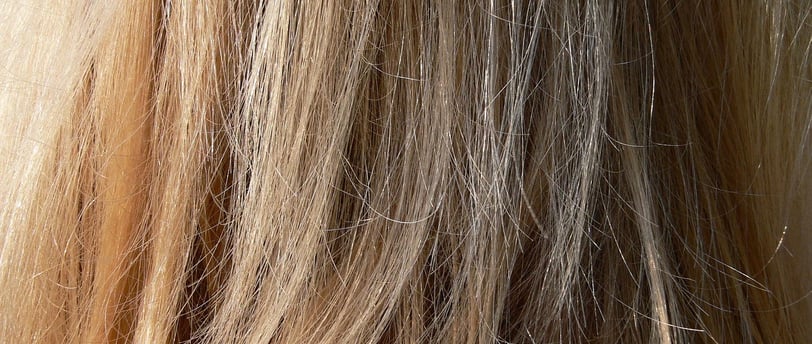 dry hair types