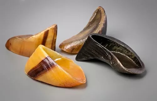 cascos bovinos