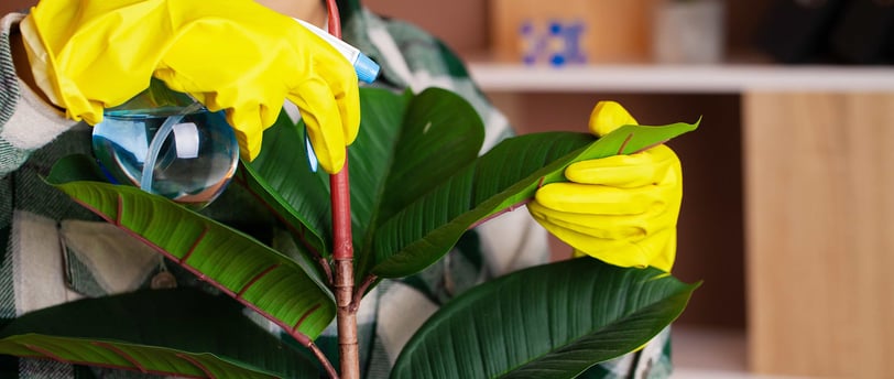 a woman in a plaid shirt and gloves holding a plant withe adom.ma