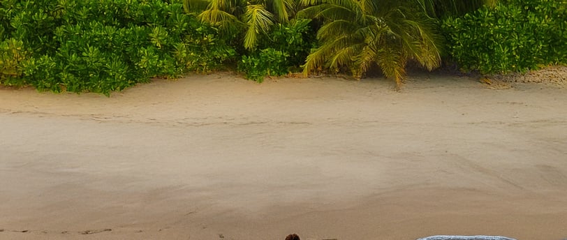 photo sessions in dominican republic on the beach