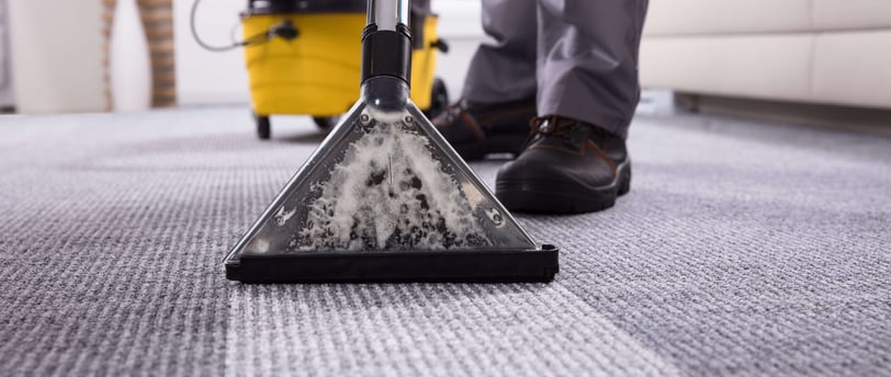 image montrant une prestation de nettoyage de tapis à Rennes