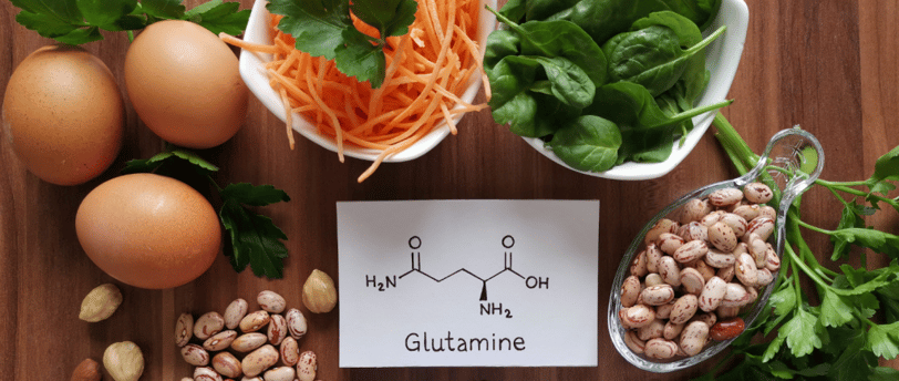 Glutamina: O Que É, Para Que Serve e Seus Benefícios para a Saúde e Performance