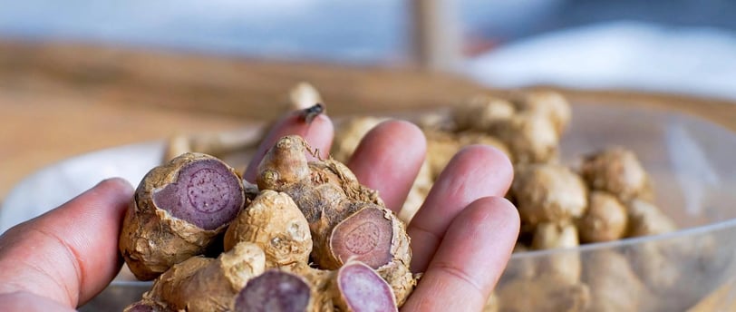 Black Ginger: Benefícios e para que serve