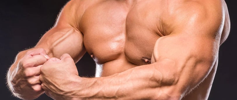 5 Exercícios Para Desenvolver Peitoral
