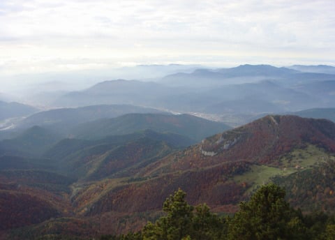 VISTES DES DE SANT AMAND
