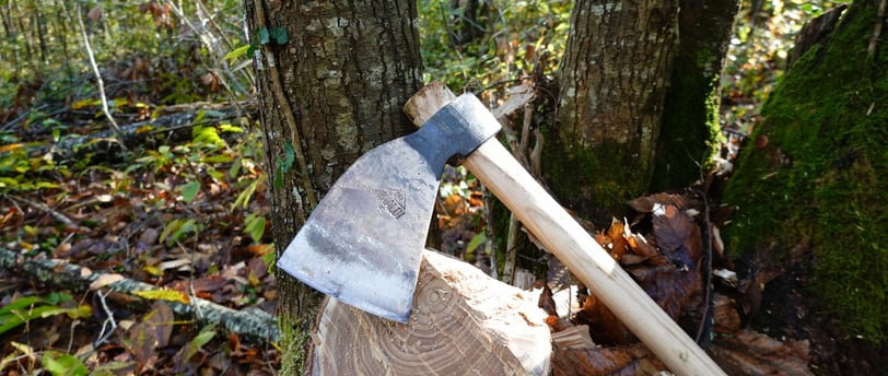 Le Bûcheron Dépasse En Bois De Chanvre. Hache Et Manche De Hache