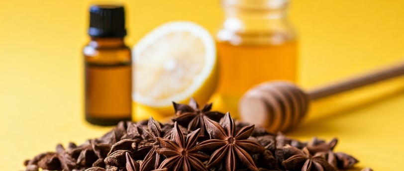 star-anise-spice-flavor-wellness